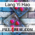 Lang Yi Hao 14